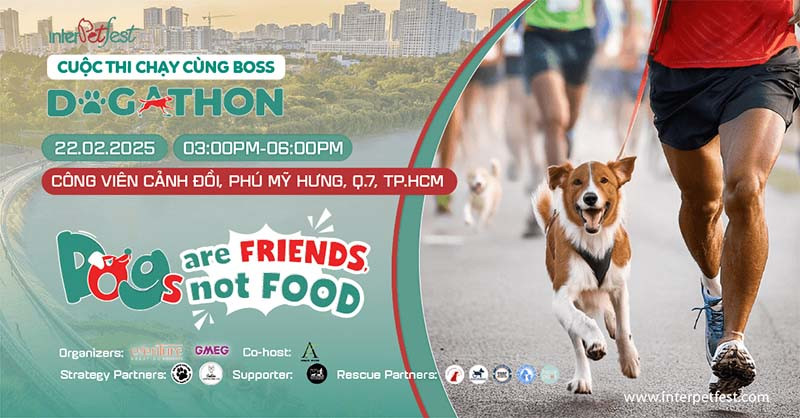 Giải chạy InterPetFest Dogathon 2025 tại TP Hồ Chí Minh